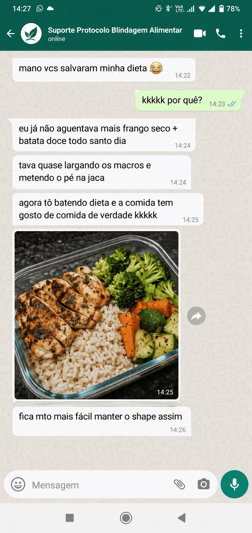 Depoimento em conversa de WhatsApp sobre refeições saborosas e rotina de dieta